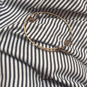 A older Alex and ani bracelet